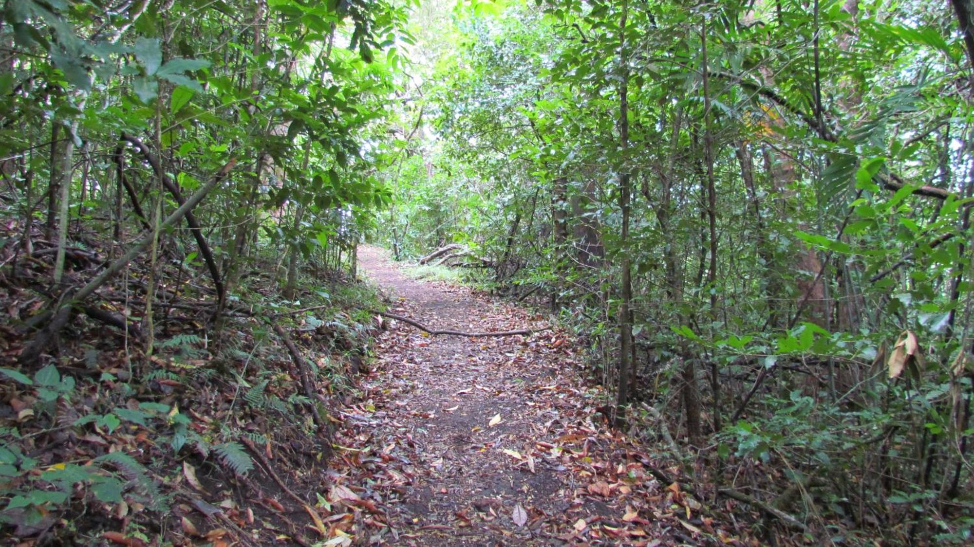 Santuario Ecologico Monteverde Exterior photo