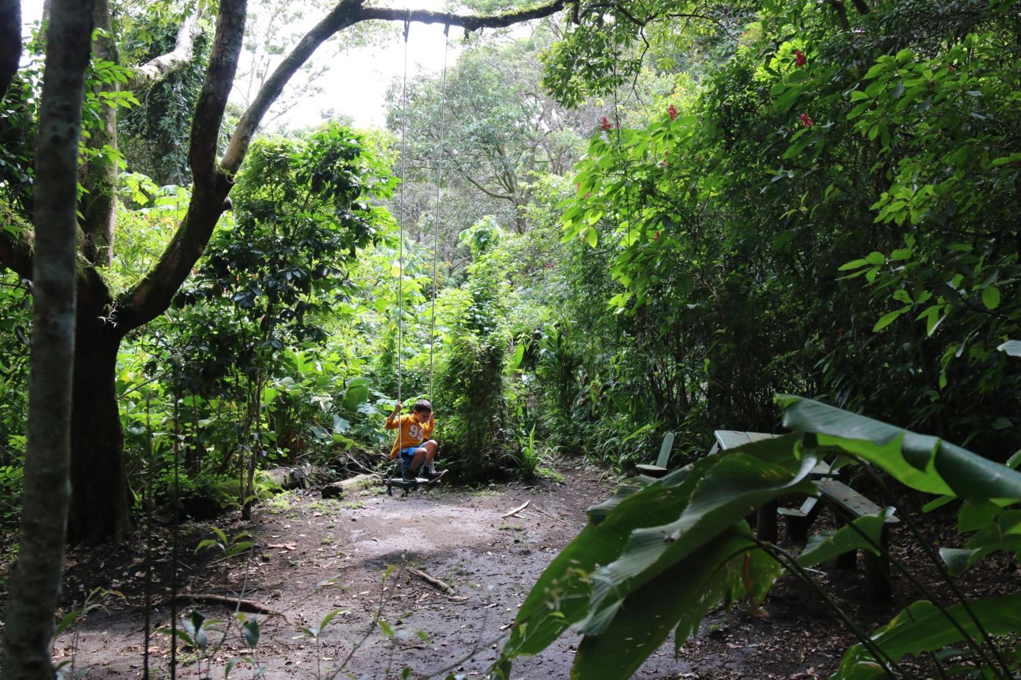 Santuario Ecologico Monteverde Exterior photo