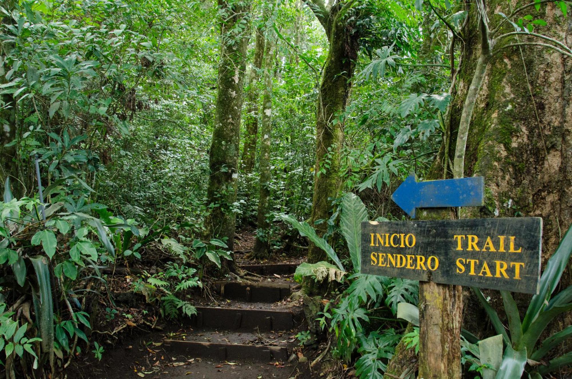 Santuario Ecologico Monteverde Exterior photo